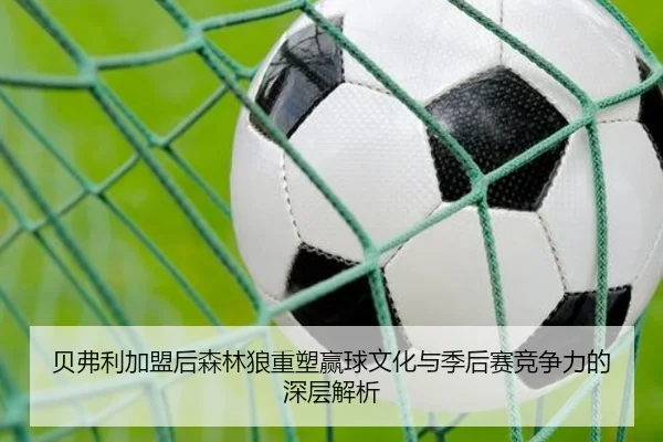 贝弗利加盟后森林狼重塑赢球文化与季后赛竞争力的深层解析（BOWANSPORTS）